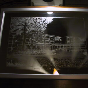 Crabbelh of Dordrecht